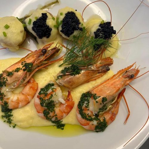 whatsapp image 2026 03 25 at 09.19.14